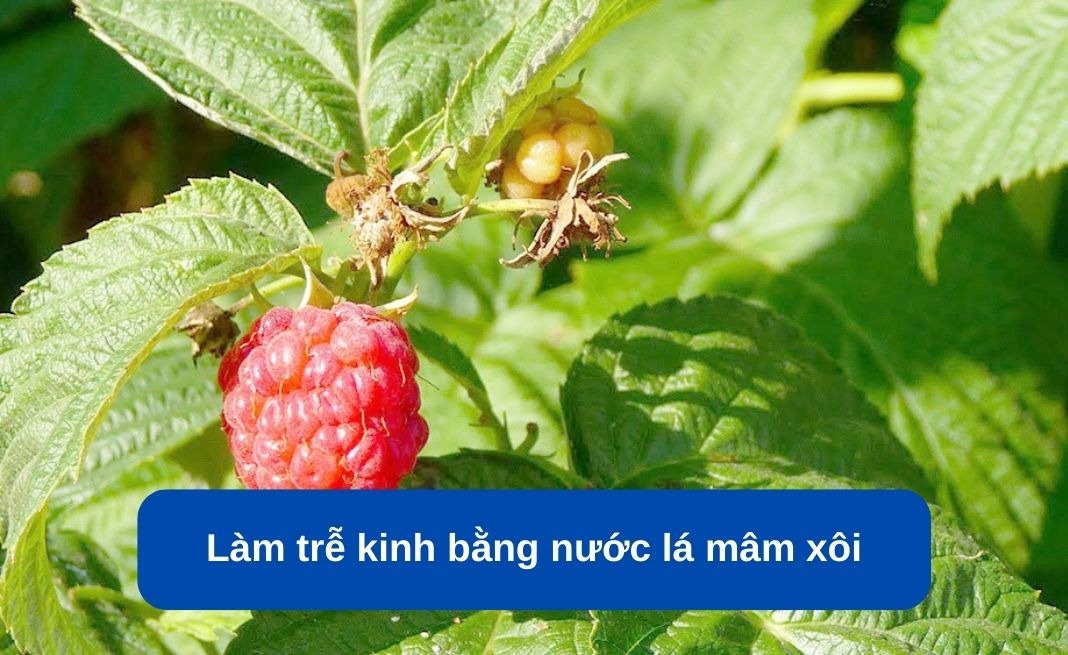 7 cách làm chậm kinh nguyệt tự nhiên thuốc làm chậm kinh nguyệt gây ảnh hưởng gì
