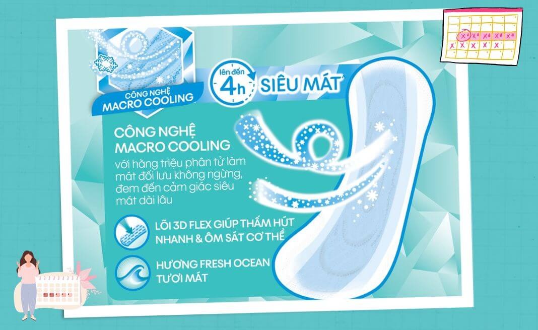 băng vệ sinh có bao nhiêu miếng