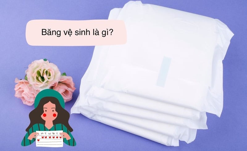 băng vệ sinh là gì