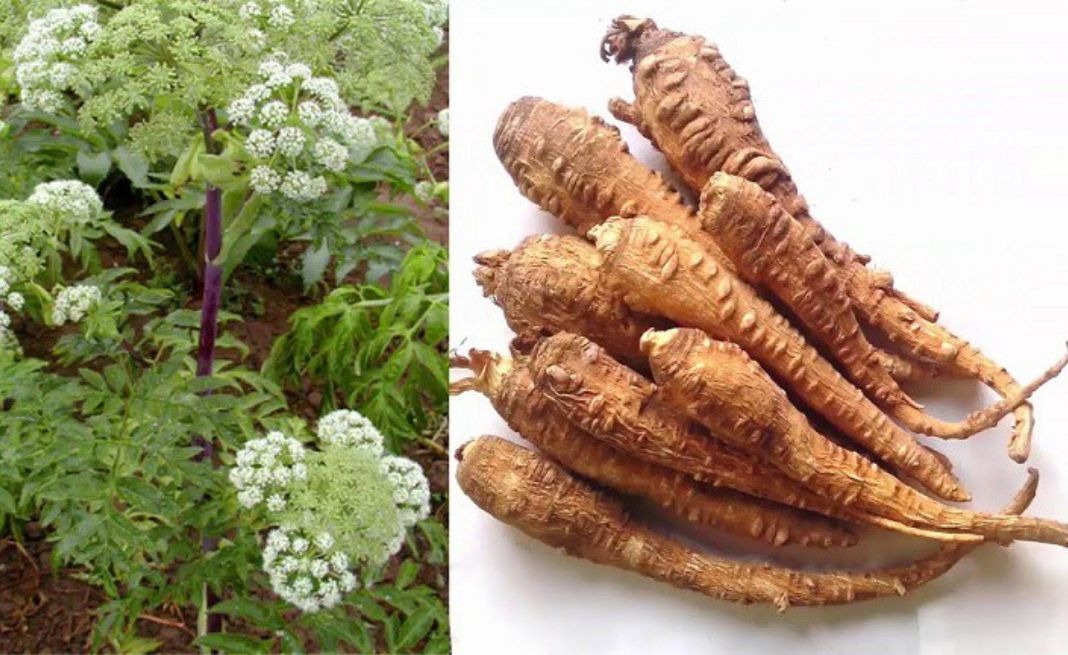 cách nhanh hết kinh trong 1 ngày