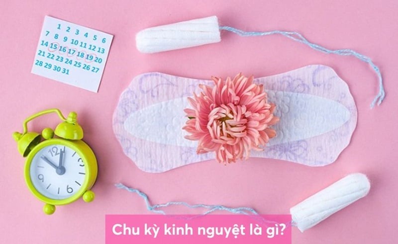 cách tính chu kỳ kinh nguyệt