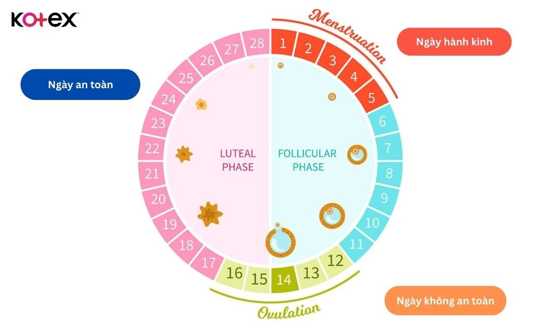 cách tính ngày an toàn chu kỳ kinh nguyệt tránh thai cho bạn gái