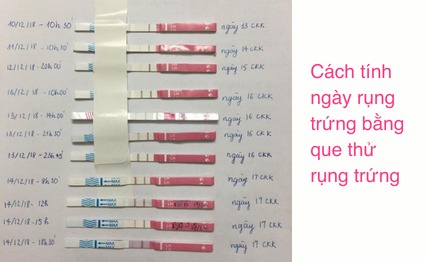 cách tính ngày rụng trứng
