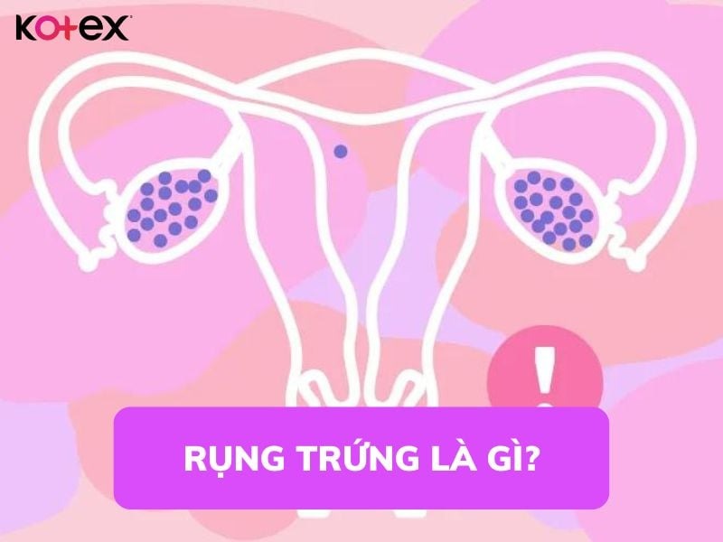 cách tính ngày rụng trứng là gì và 8 biểu hiện rụng trứng