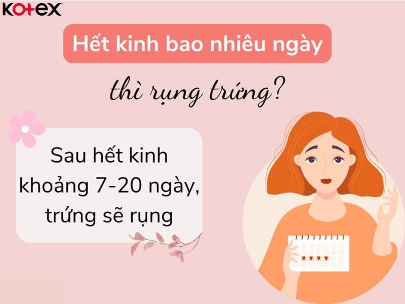 cách tính ngày rụng trứng là gì và 8 biểu hiện rụng trứng