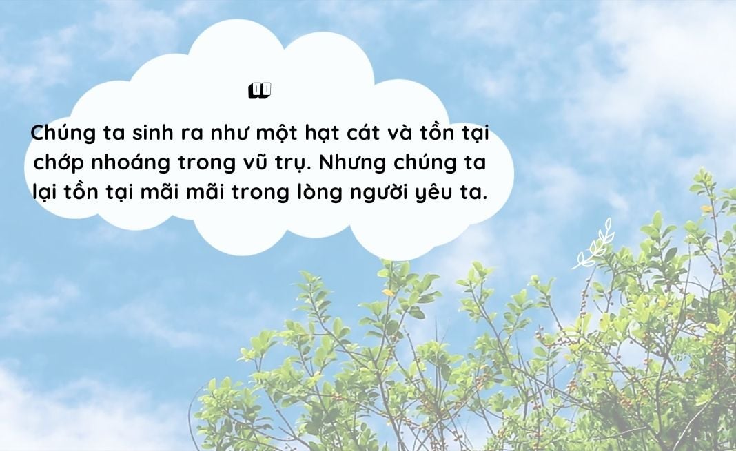 cap hay về tình yêu