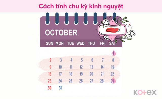 chu kỳ kinh nguyệt