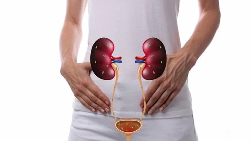 đau bụng dưới và đau lưng nhưng không có kinh