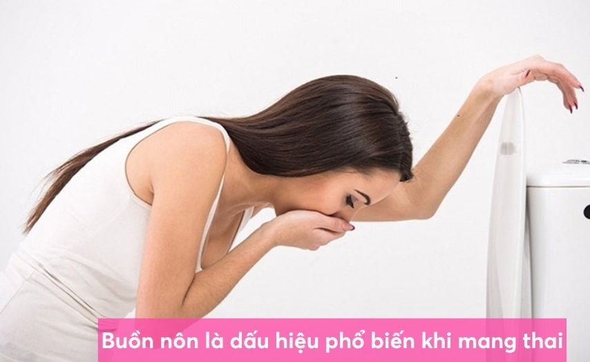 dấu hiệu trứng gặp tinh trùng