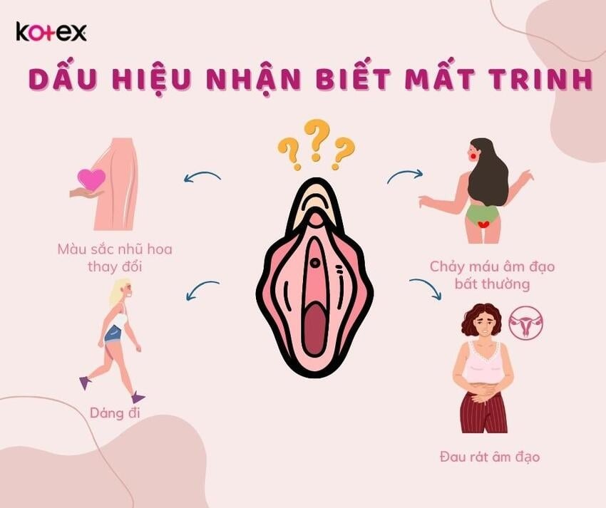 hiểu đúng về màng trinh