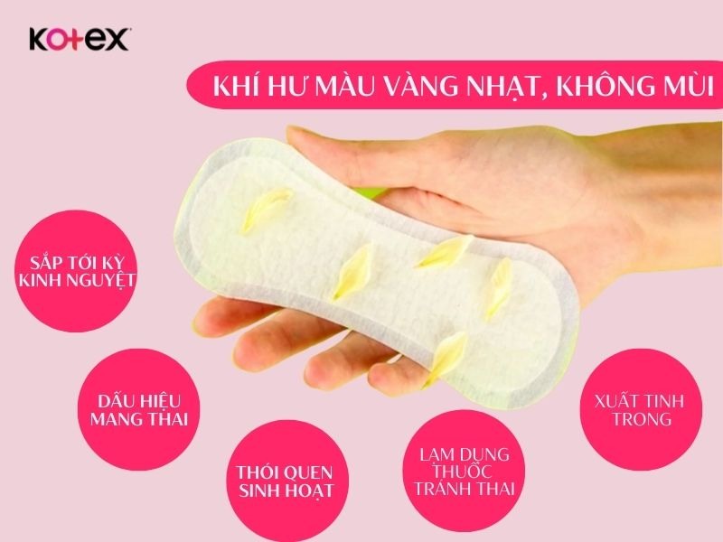 khí hư màu vàng
