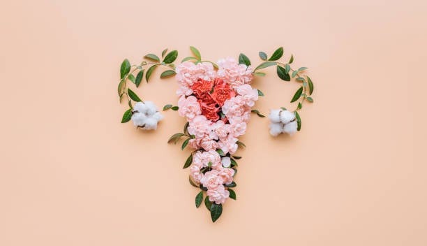 không có kinh nguyệt 4 tháng
