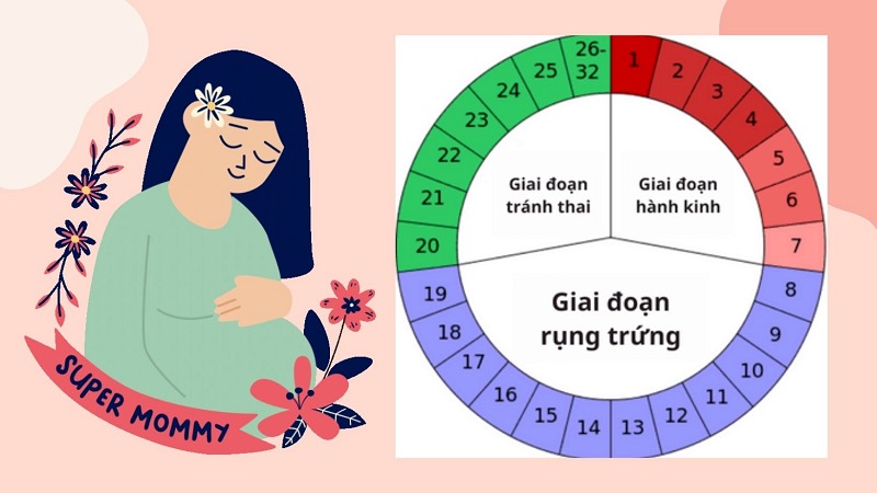 kích thước trứng bao nhiêu thì rụng