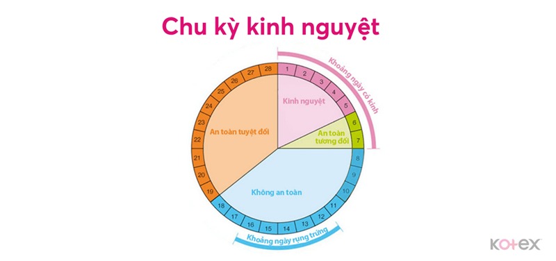 làm sao để kinh nguyệt đều