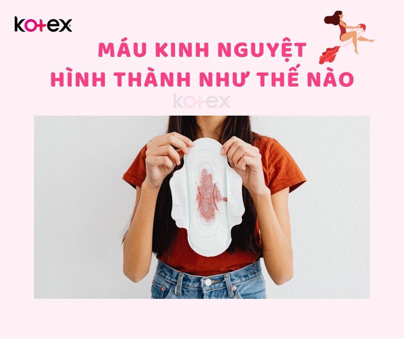 màu máu kinh nguyệt như thế nào là bình thường