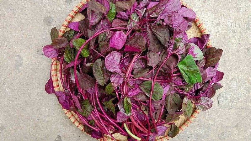 mẹo vặt chữa rong kinh