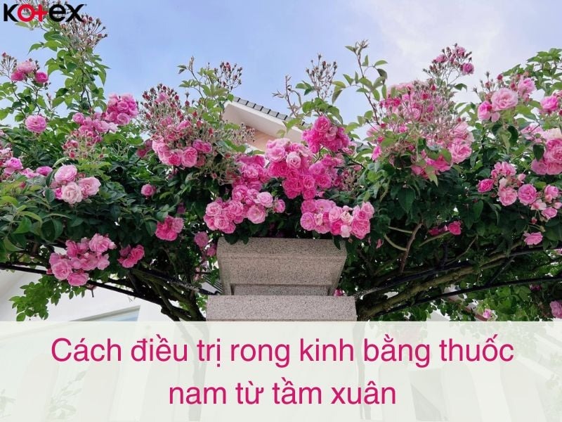 mẹo vặt chữa rong kinh
