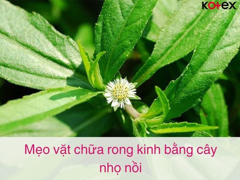 mẹo vặt chữa rong kinh