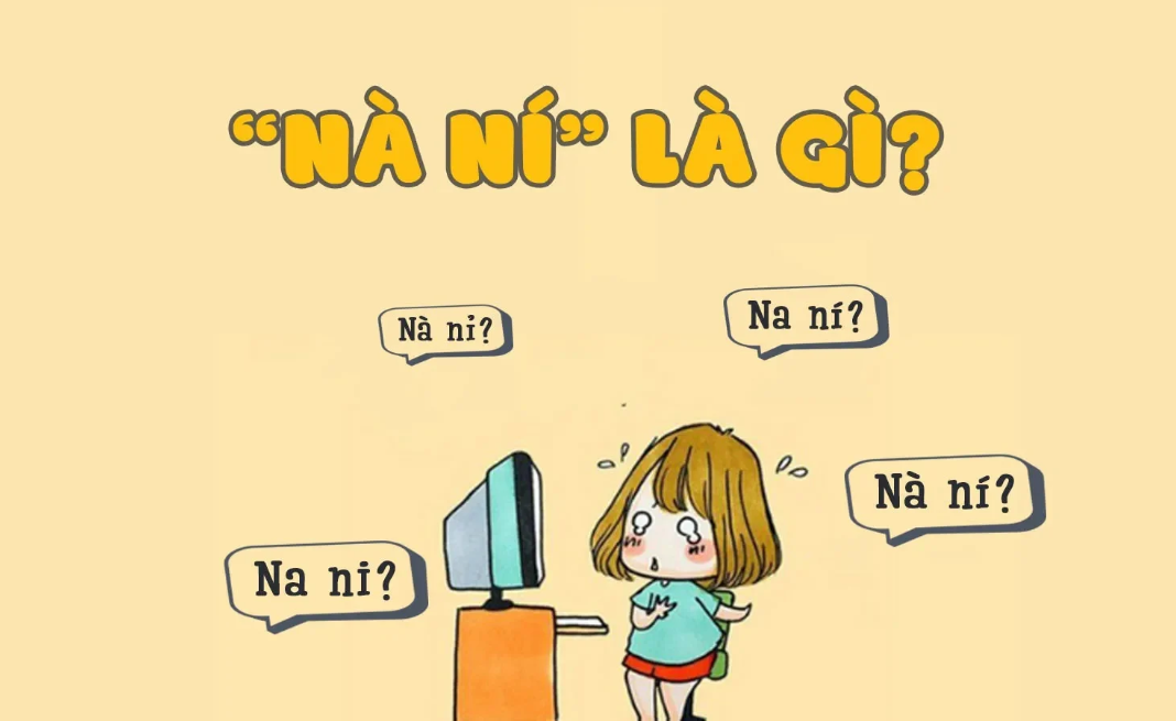 ní là gì