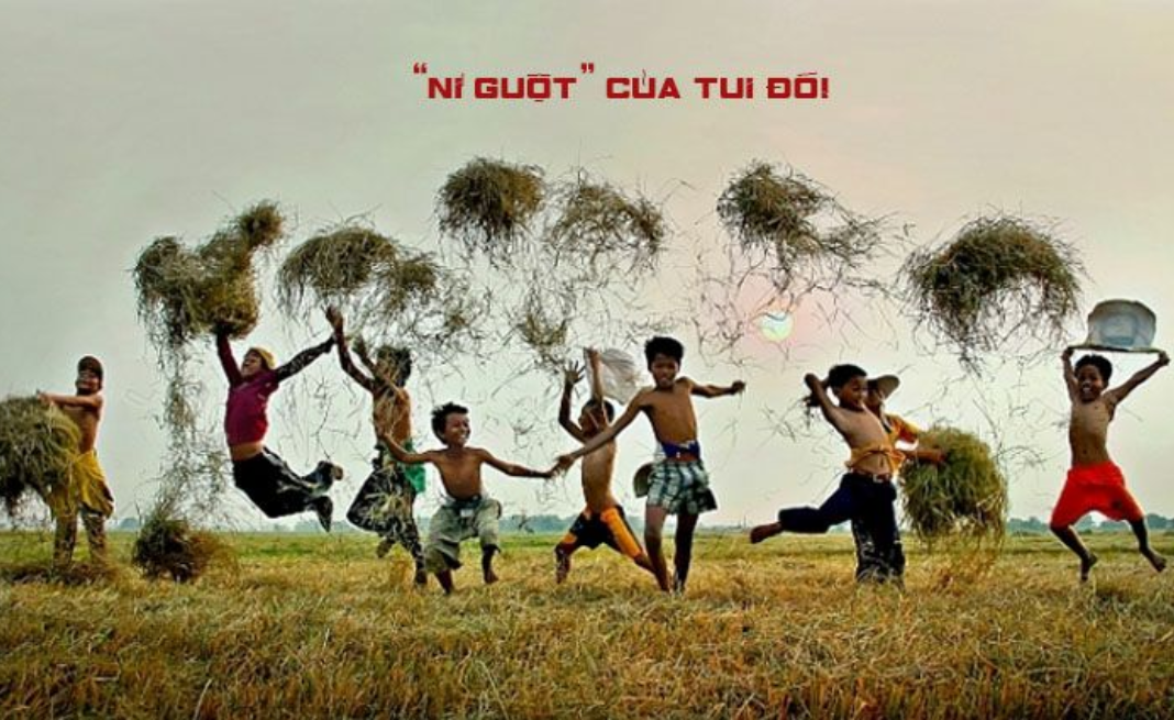 ní là gì