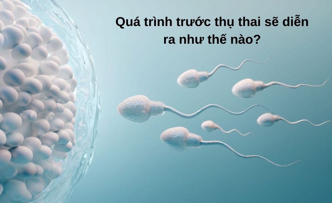 quan hệ bao lâu thì biết có thai