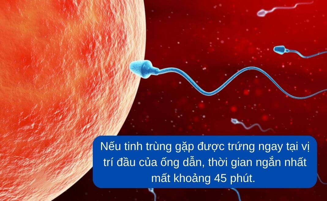 quan hệ bao lâu thì biết có thai