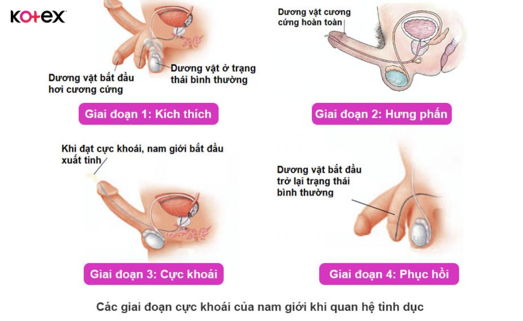 quan hệ tình dục