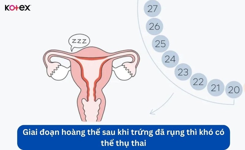 có kinh nguyệt sau khi quan hệ có thai không