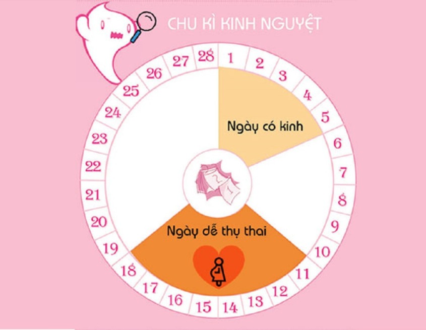 que thử rụng trứng vạch dưới mờ vạch trên đậm
