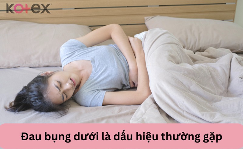 rong kinh là gì