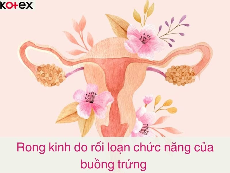 rong kinh là gì