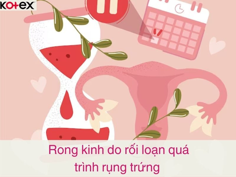 rong kinh là gì