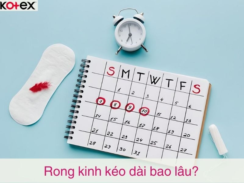 rong kinh là gì