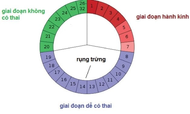 sinh lý kinh nguyệt
