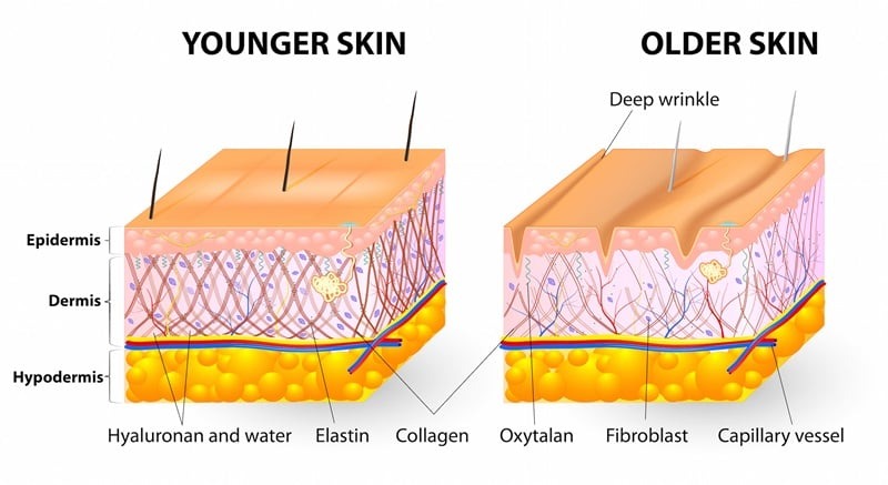 uống collagen có ảnh hưởng đến kinh nguyệt