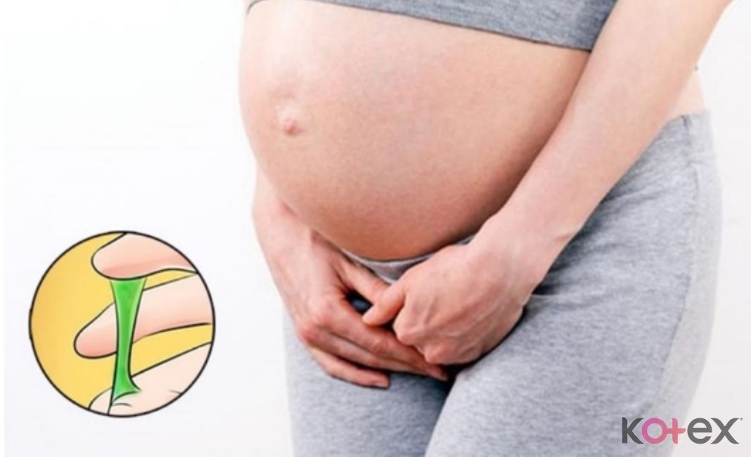 Khi mang thai, nội tiết tố thay đổi nên thường xuất hiện khí hư